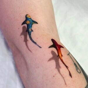 Meet your Posher, Ron